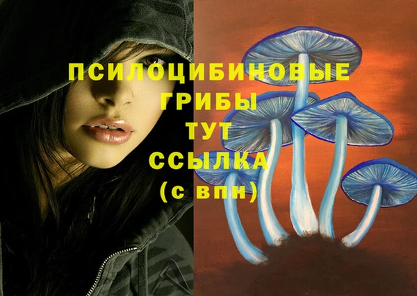 винт Балахна