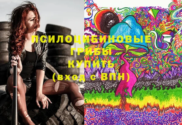 Альфа ПВП Беломорск