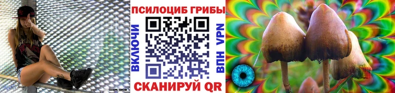 MEGA вход  Железногорск-Илимский  Галлюциногенные грибы GOLDEN TEACHER  цены  